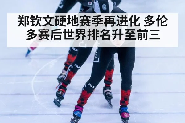 郑钦文硬地赛季再进化 多伦多赛后世界排名升至前三
